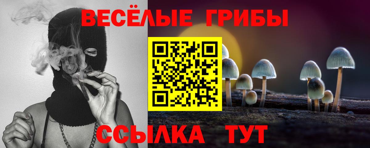Горячий Ключ  дарнет шоп  Вход с VPN  Псилоцибиновые грибы Psilocybine cubensis 